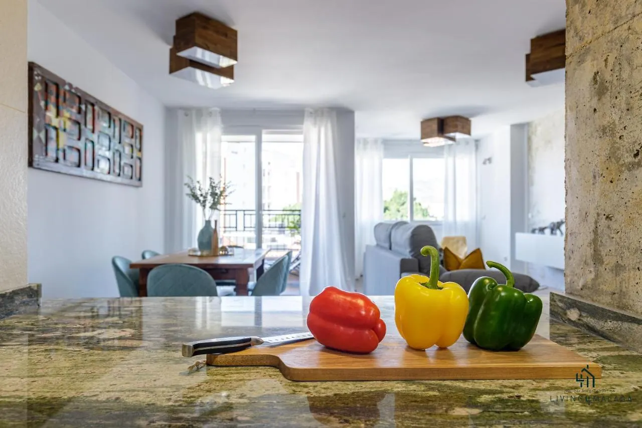 Living4Malaga Theatre Square Terrace Apartment 0*, Malaga Spain